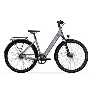 CGO800S Ebike