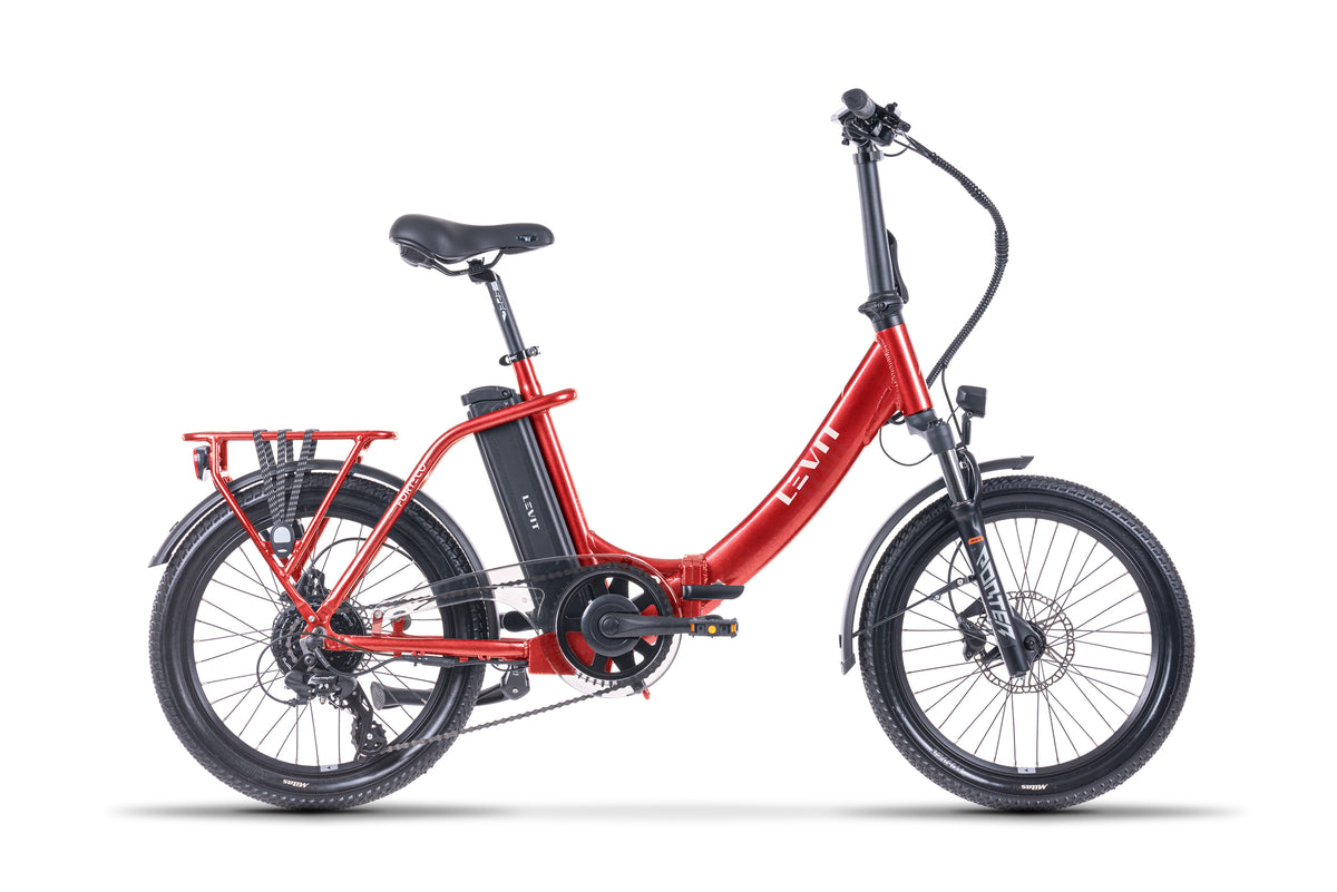 LEVIT FORTECO 1 ladybug