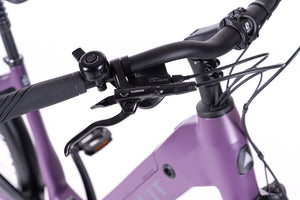LEVIT BELECO RD lowstep bordeaux