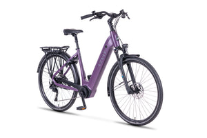 LEVIT BELECO RD lowstep bordeaux