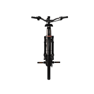 AGO Performance Ebike
