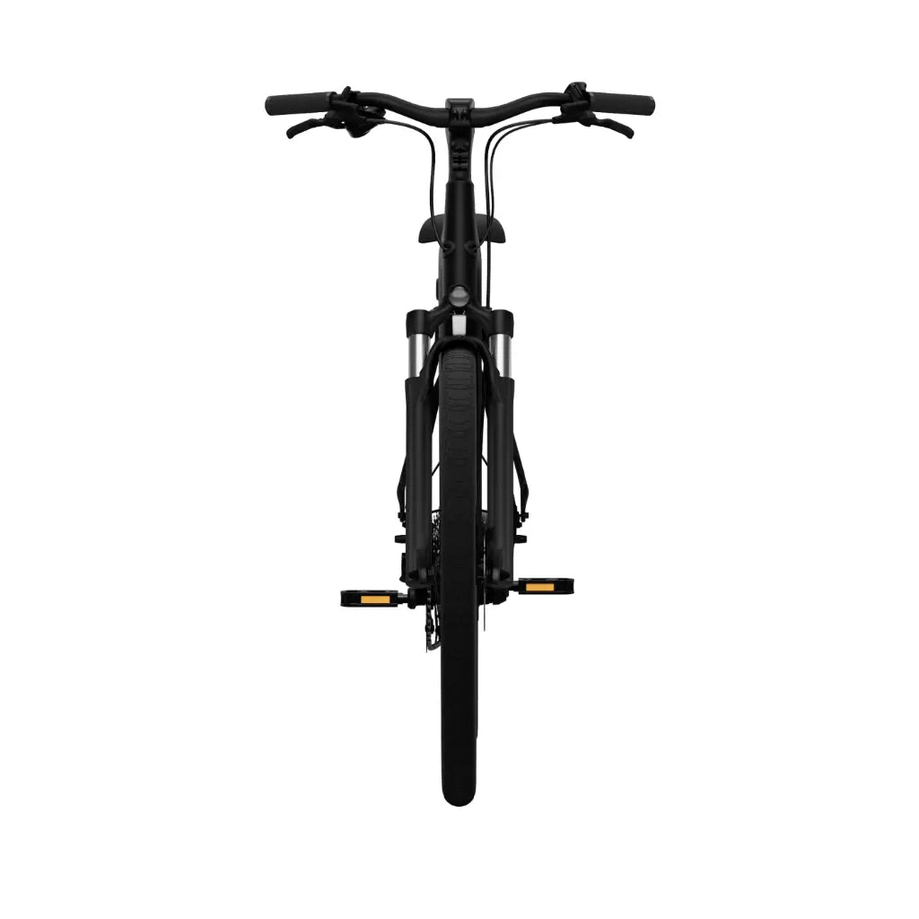 CGO800 Plus Ebike