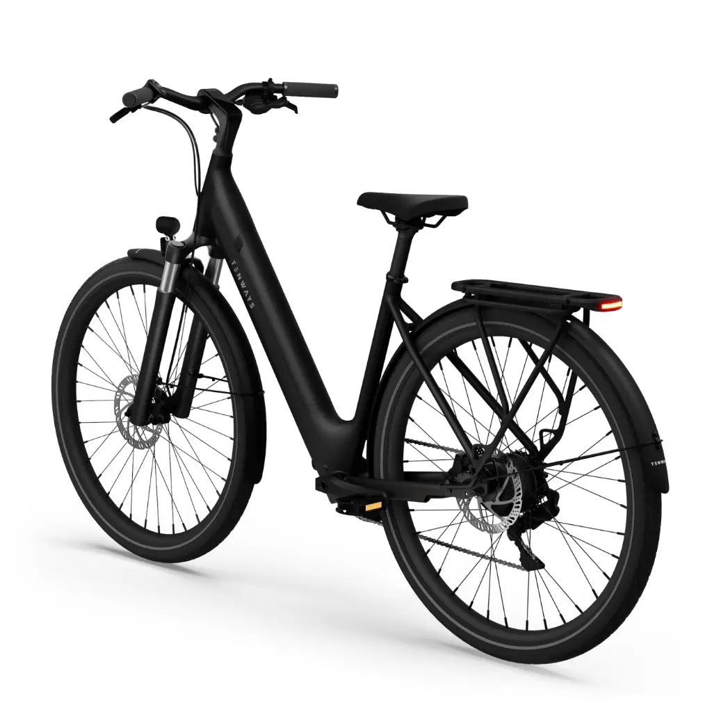 CGO800 Plus Ebike
