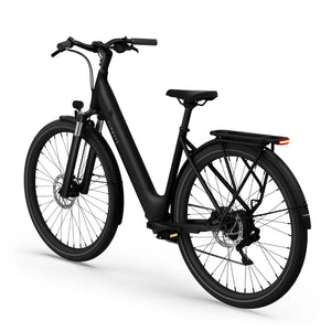 CGO800 Plus Ebike