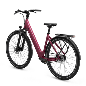 CGO800S Ebike