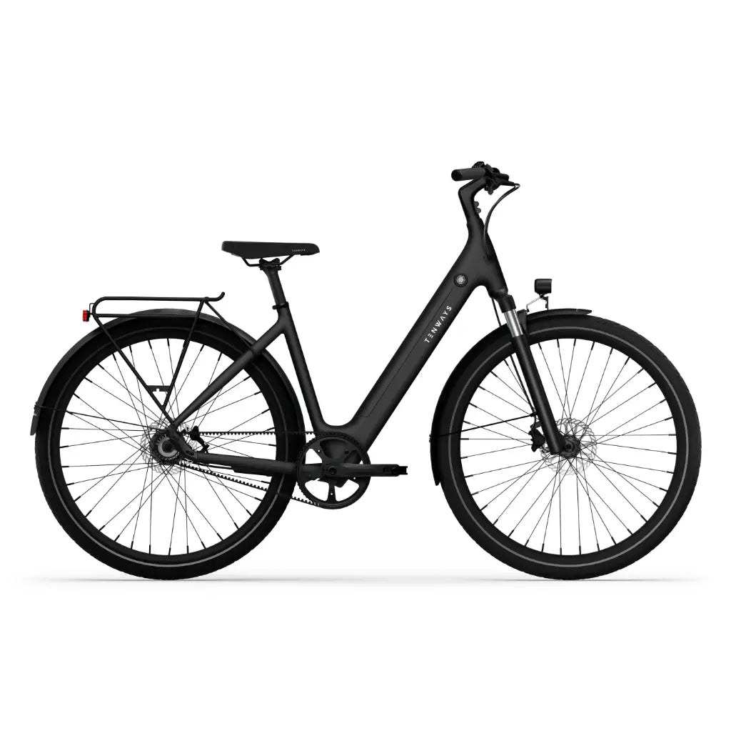 CGO800S Ebike
