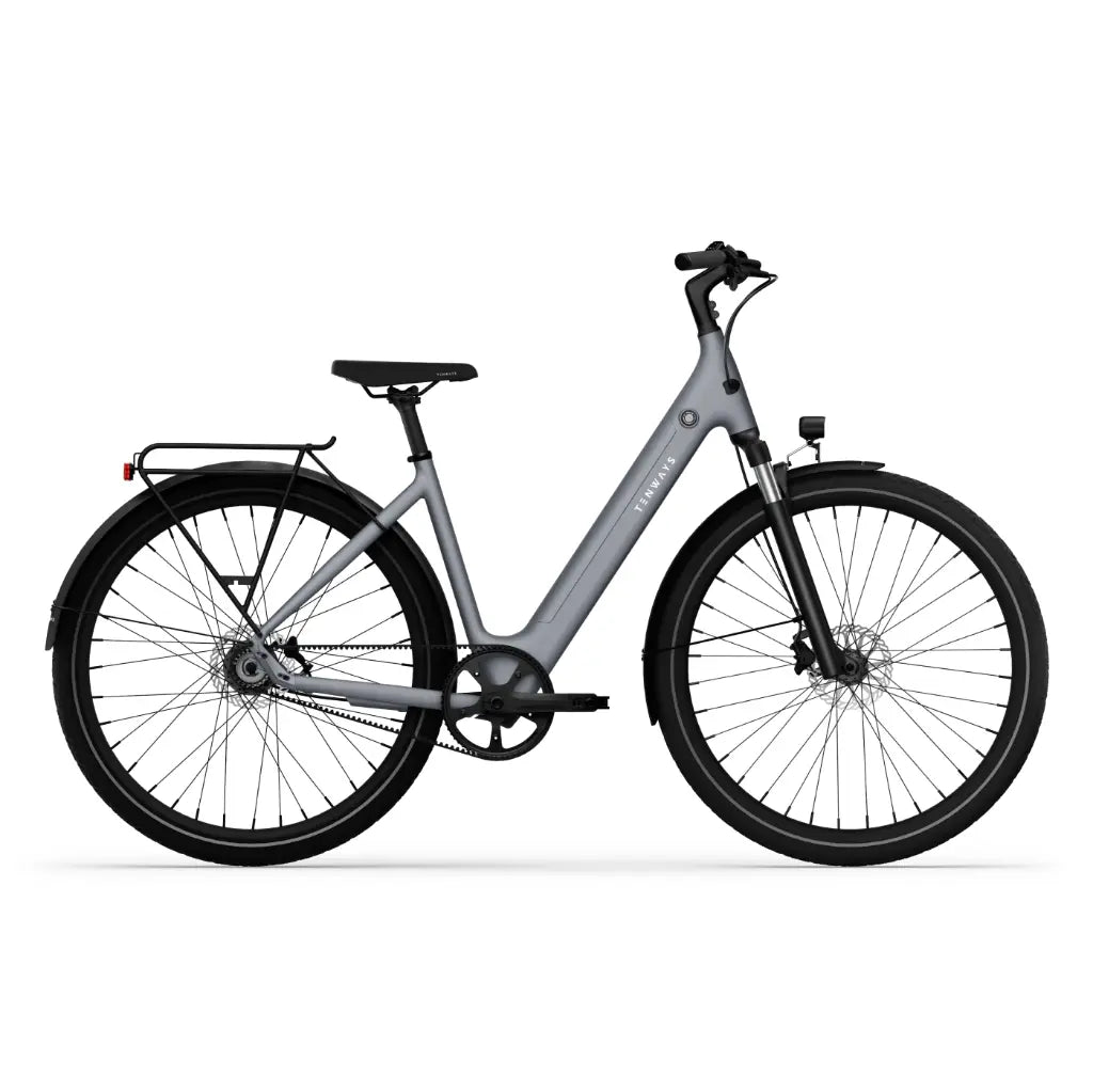 CGO800S Ebike