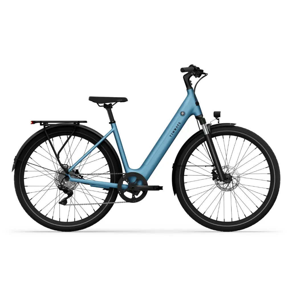 CGO800 Plus Ebike