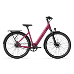 CGO800S Ebike