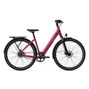 CGO800S Ebike