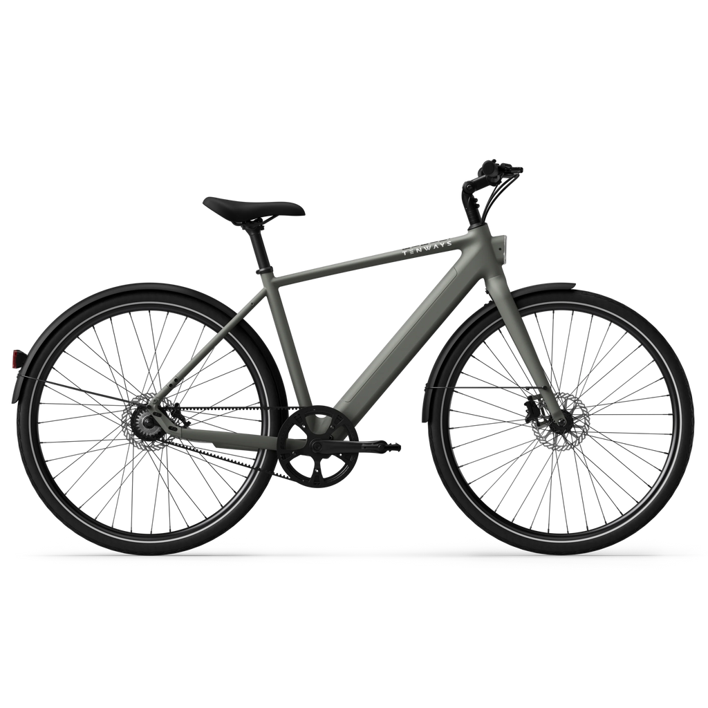 CGO600 Pro Ebike