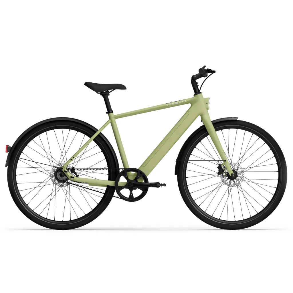 CGO600 Pro Ebike