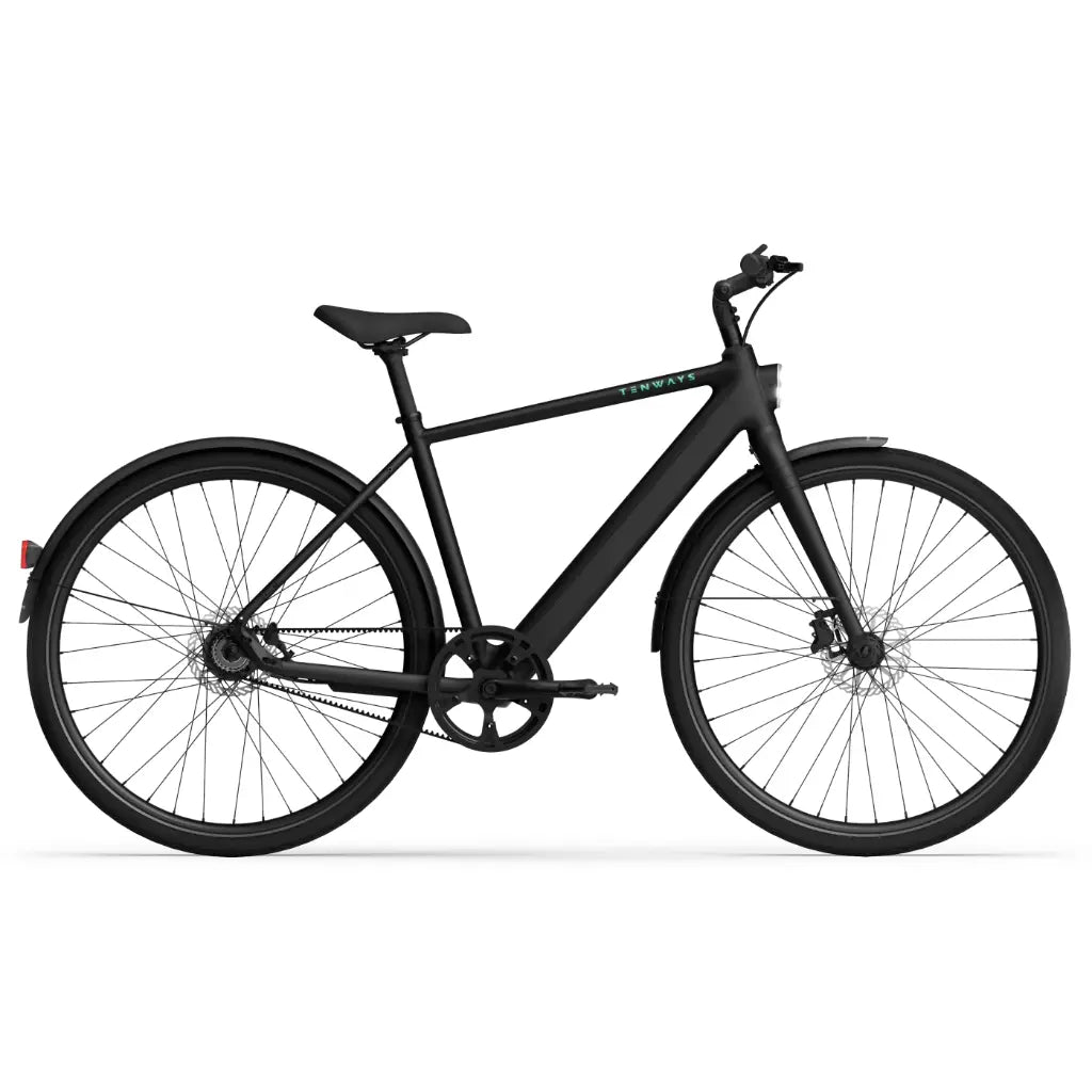 CGO600 Pro Ebike