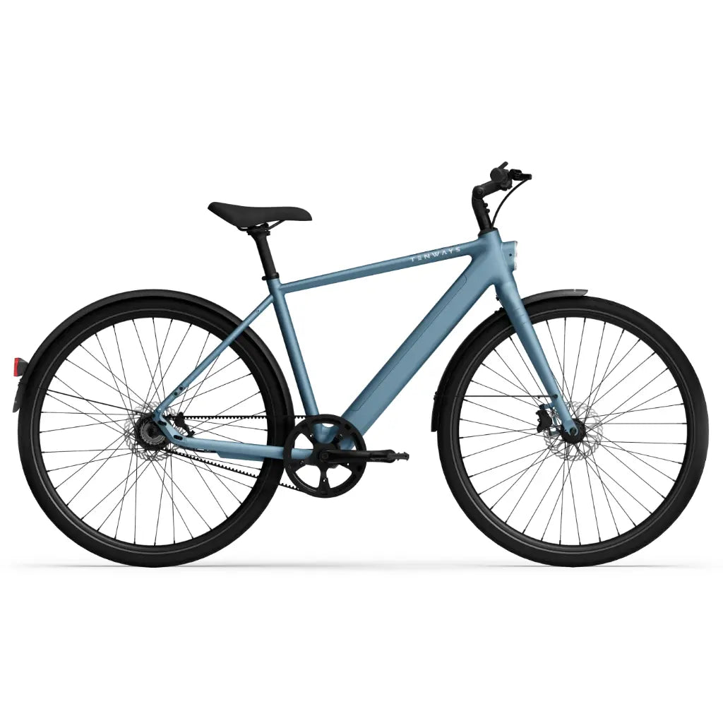 CGO600 Pro Ebike