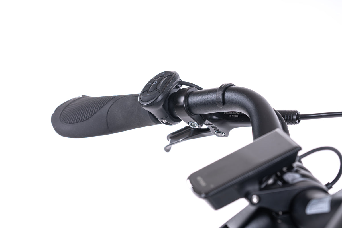 LEVIT BELECO 3 lowstep