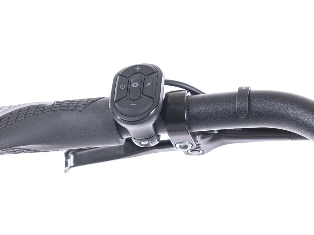 LEVIT BELECO 1 lowstep
