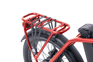 LEVIT FORTECO 1 ladybug