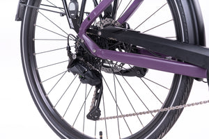 LEVIT BELECO RD lowstep bordeaux