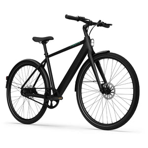 CGO600 Pro Ebike
