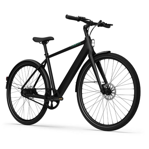 CGO600 Pro Ebike