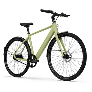 CGO600 Pro Ebike