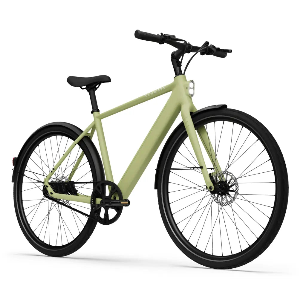 CGO600 Pro Ebike