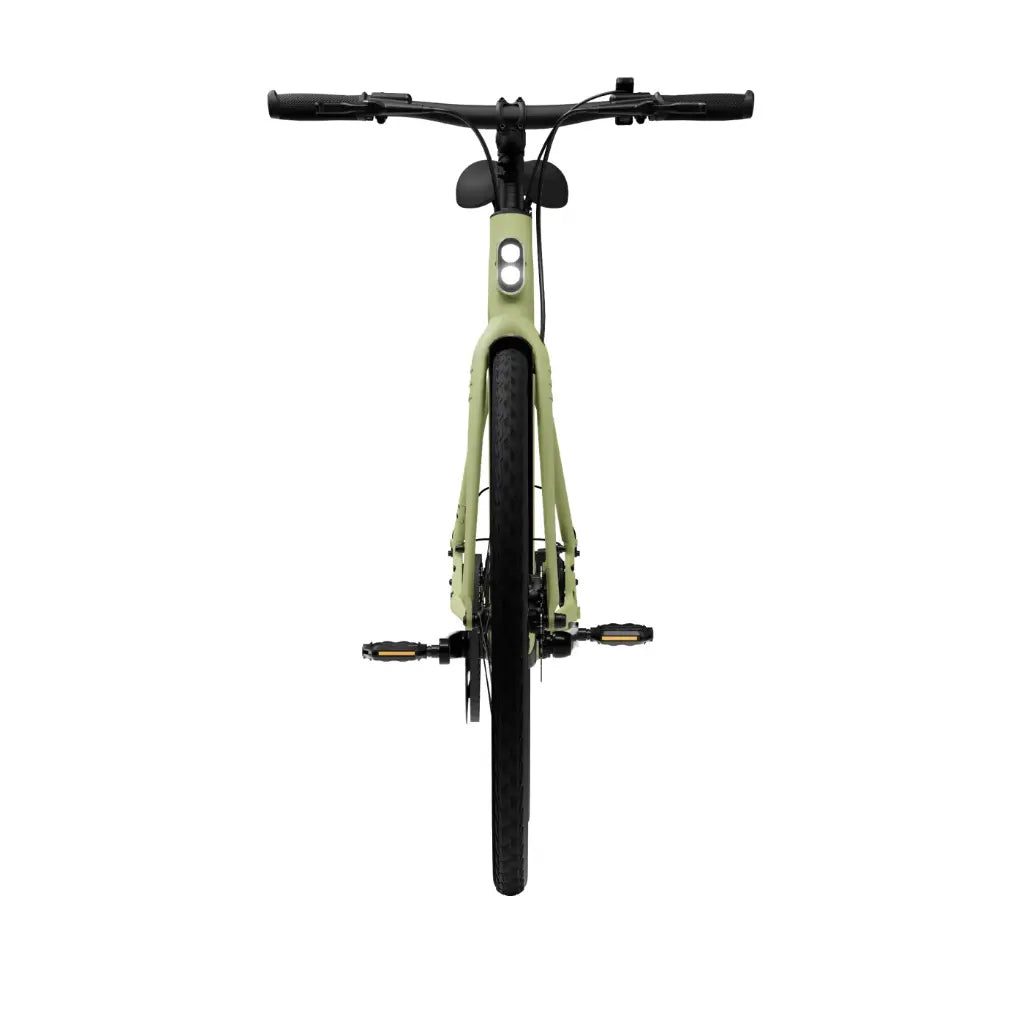 CGO600 Pro Ebike