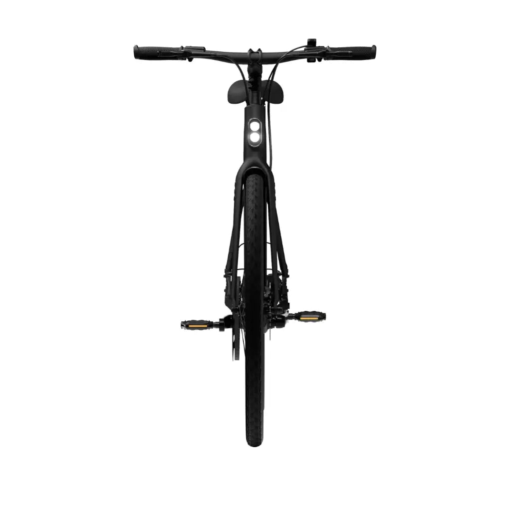 CGO600 Pro Ebike
