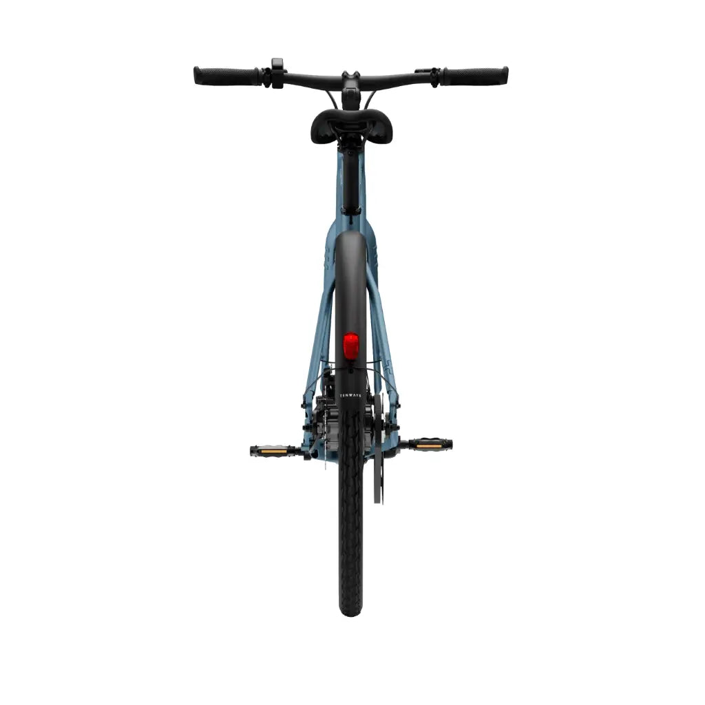 CGO600 Pro Ebike
