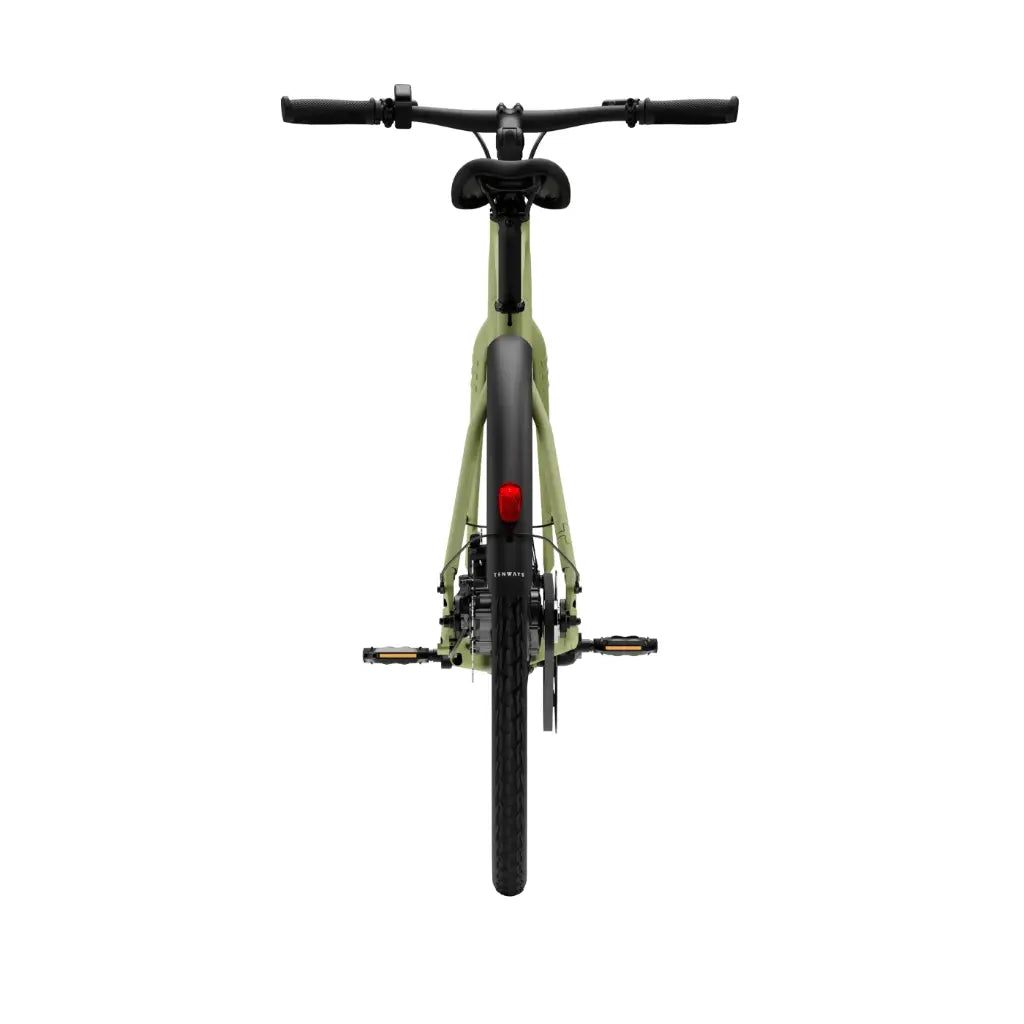 CGO600 Pro Ebike