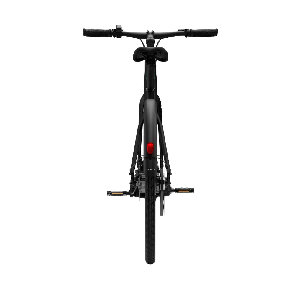 CGO600 Pro Ebike