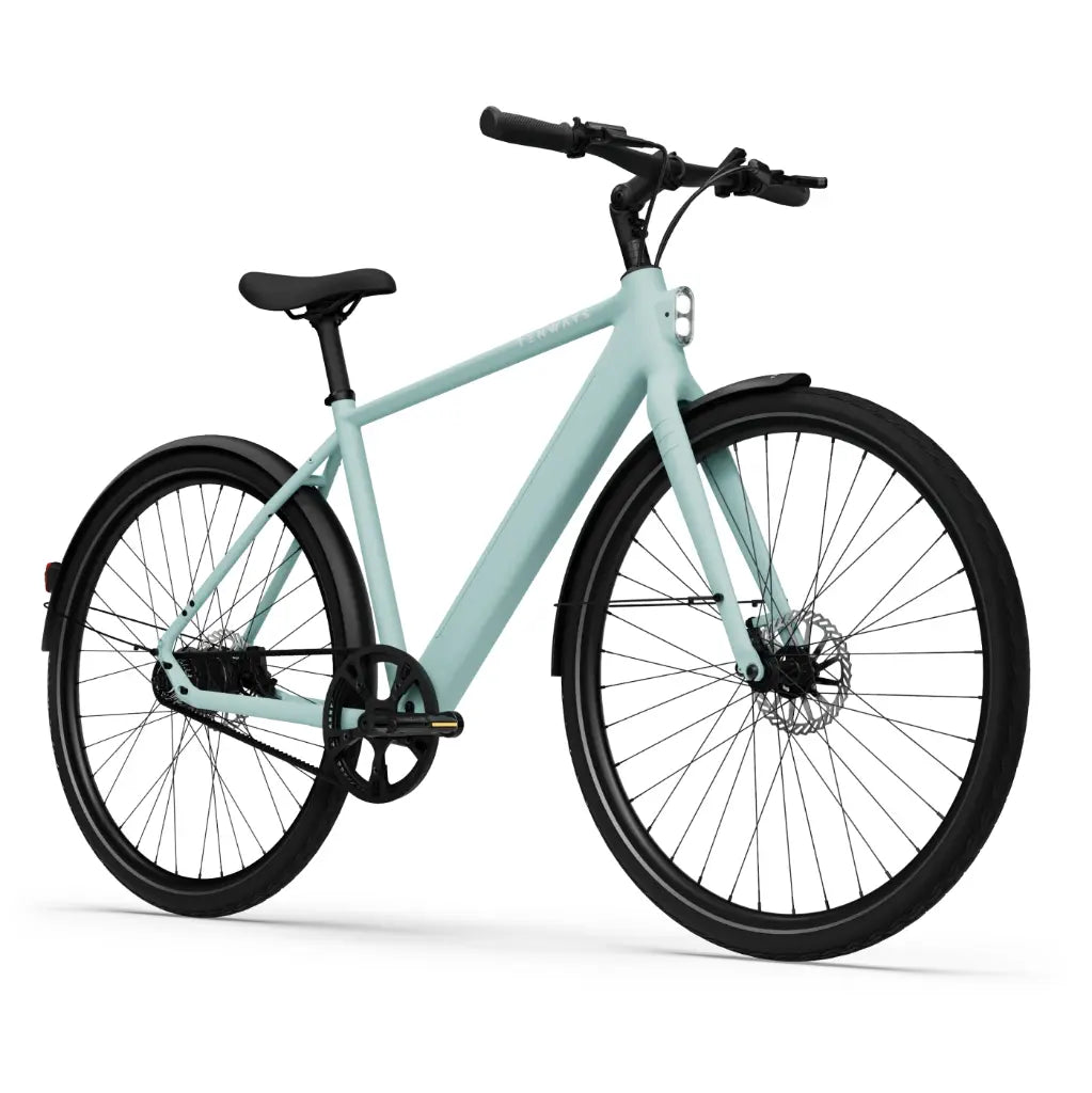 CGO600 Pro Ebike