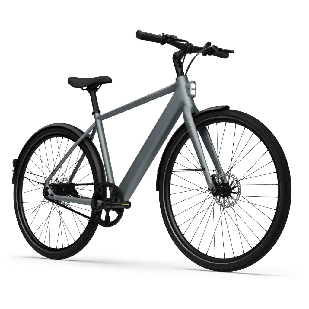 CGO600 Pro Ebike