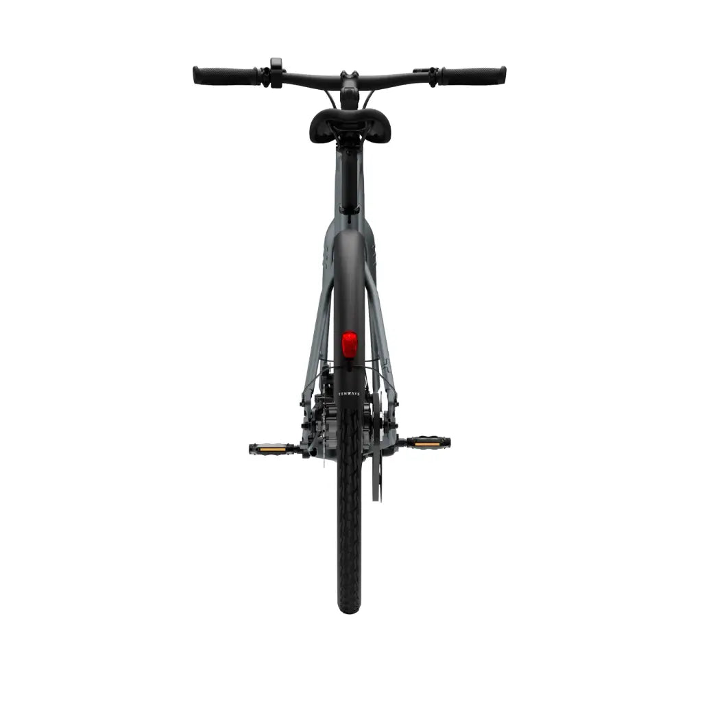 CGO600 Pro Ebike