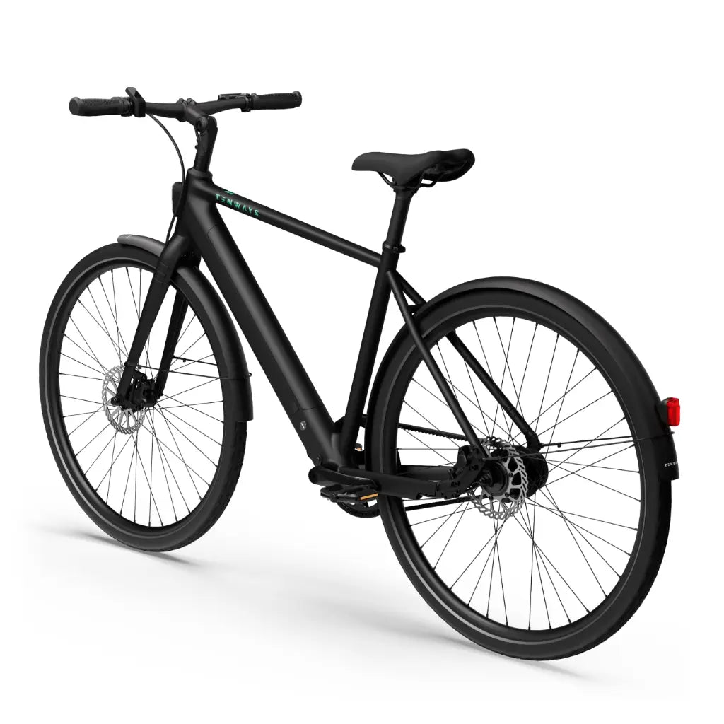 CGO600 Pro Ebike