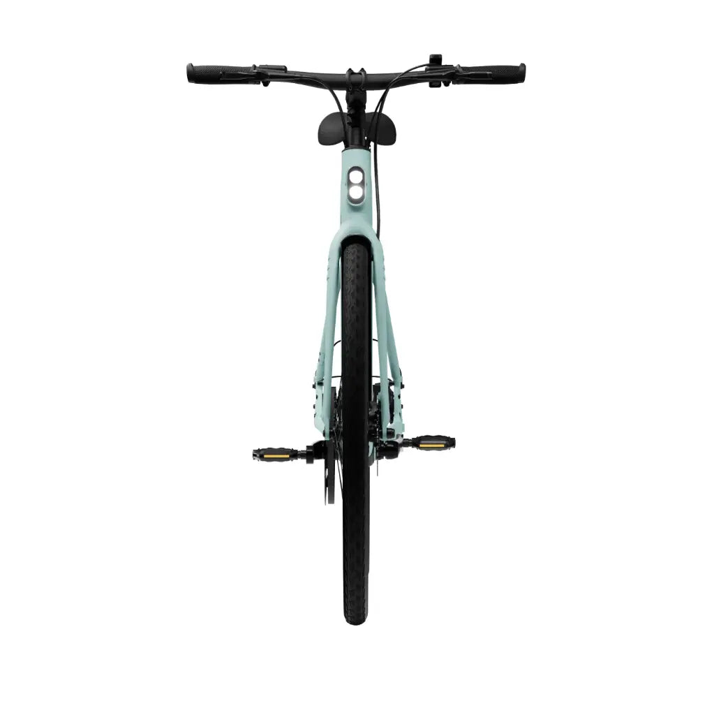 CGO600 Pro Ebike