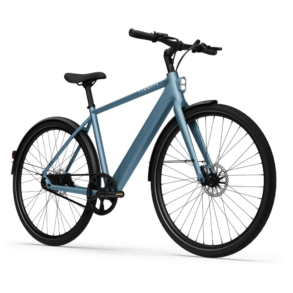 CGO600 Pro Ebike
