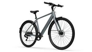 CGO600 Plus Ebike