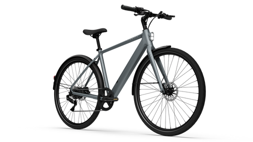 CGO600 Plus Ebike