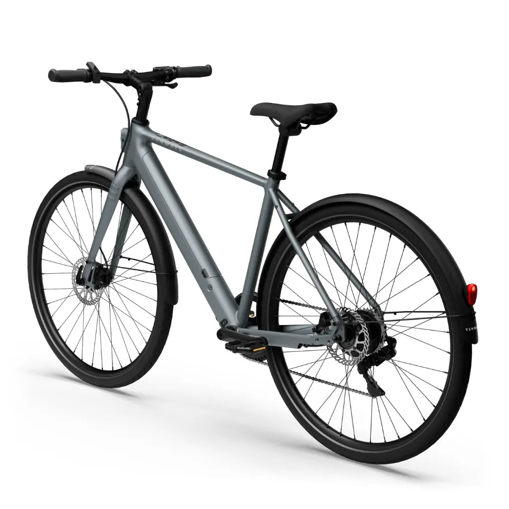 CGO600 Plus Ebike
