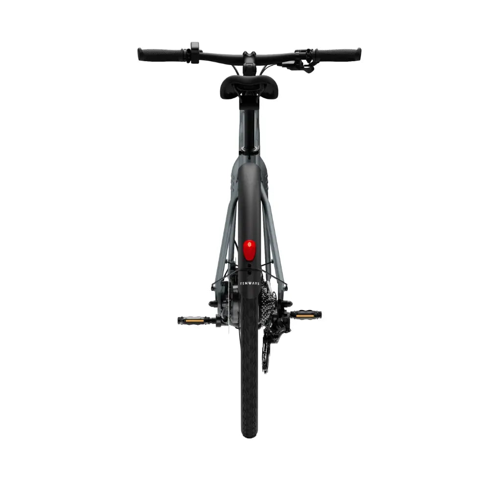 CGO600 Plus Ebike