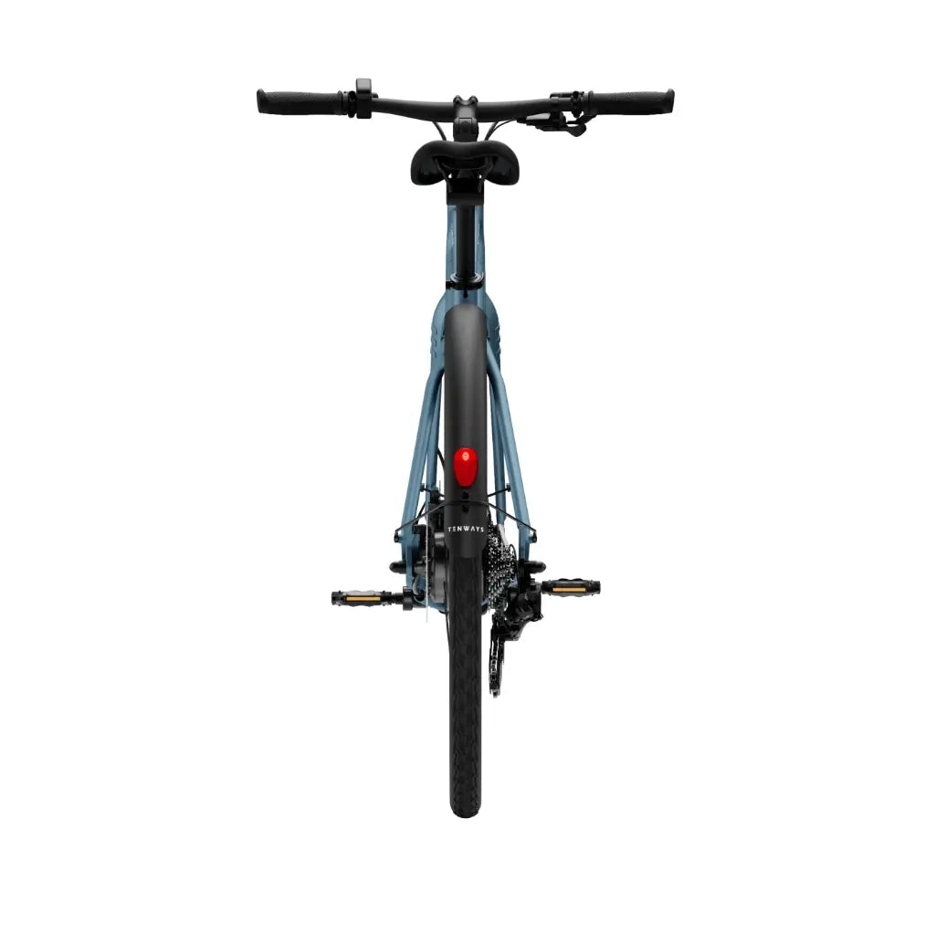 CGO600 Plus Ebike