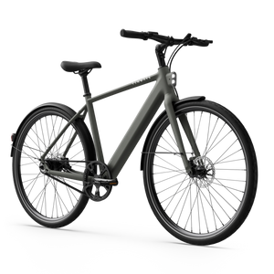 CGO600 Pro Ebike