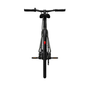 CGO600 Pro Ebike