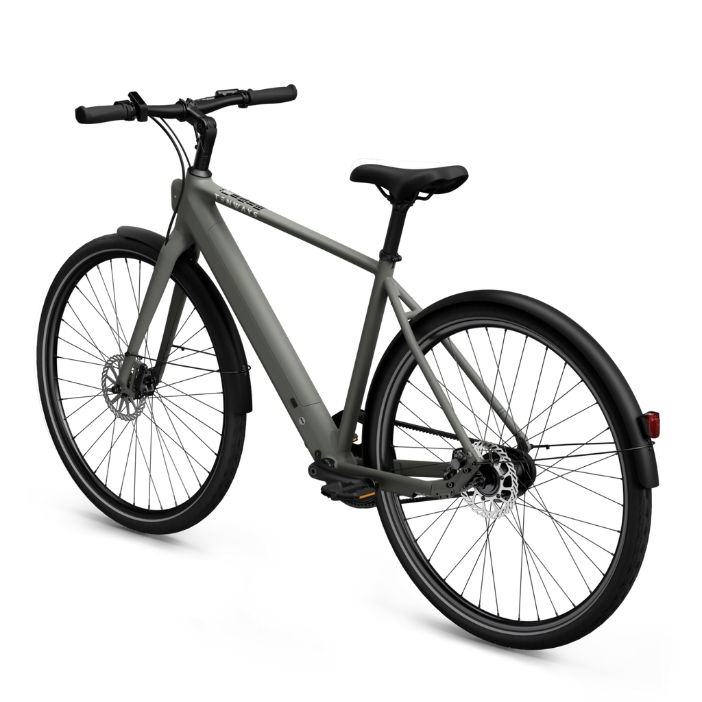 CGO600 Pro Ebike
