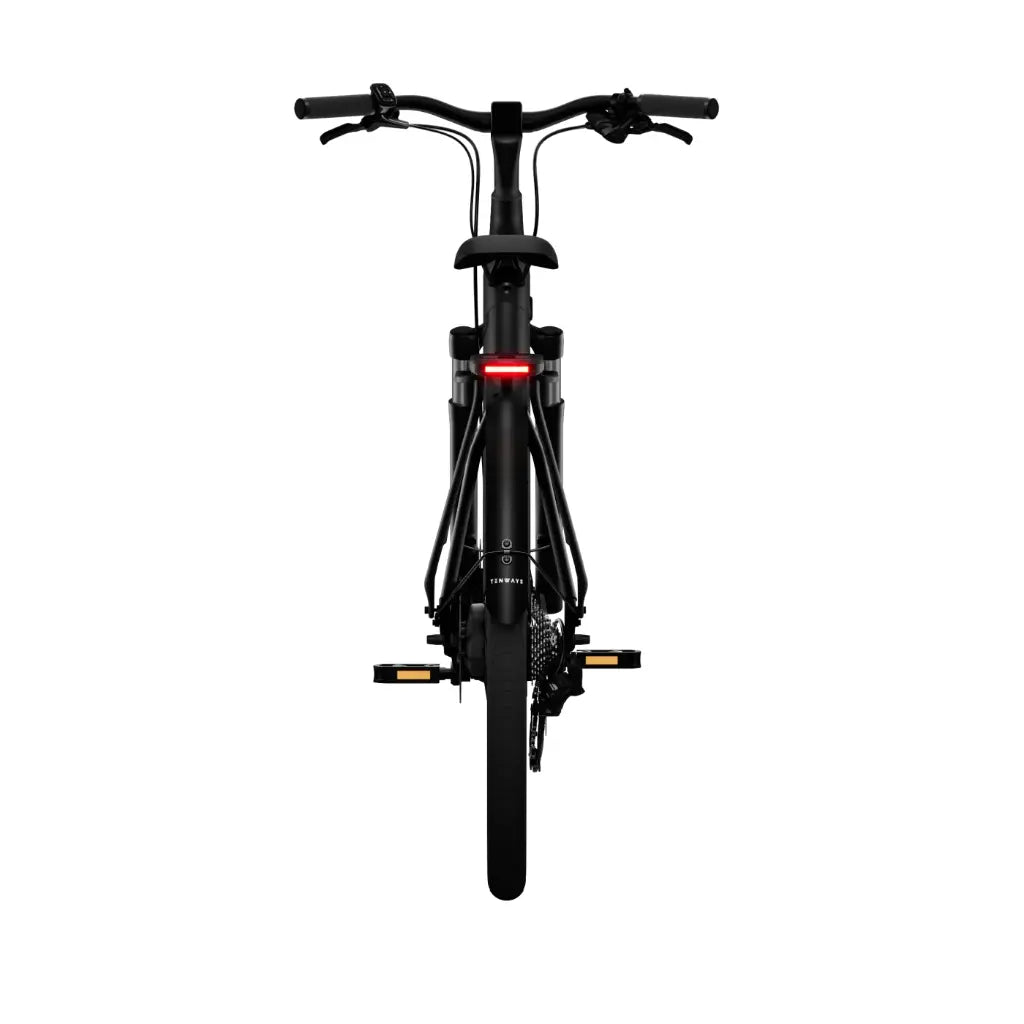 CGO800 Plus Ebike