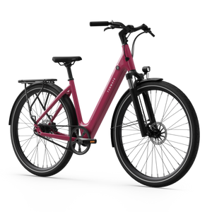 CGO800S Ebike