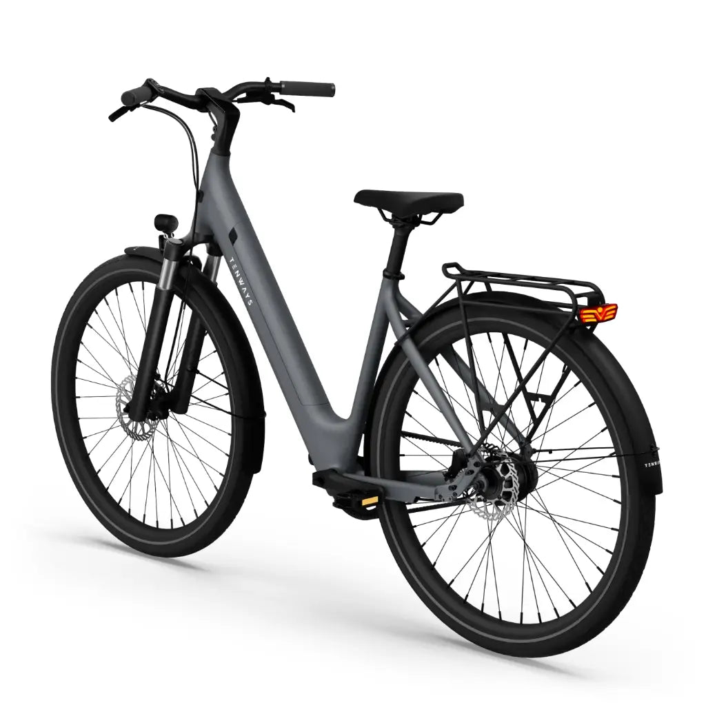 CGO800S Ebike