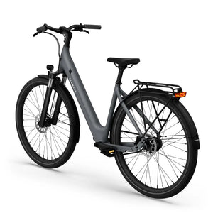 CGO800S Ebike