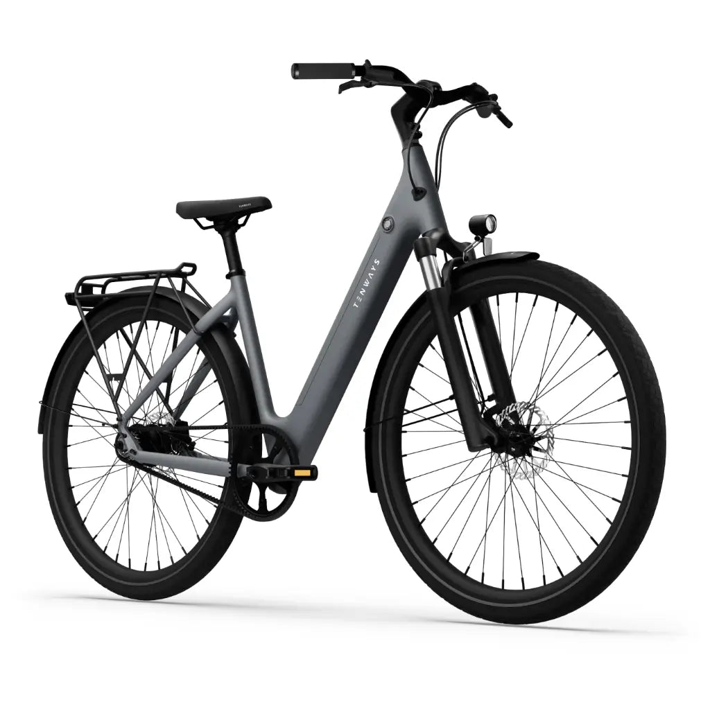 CGO800S Ebike